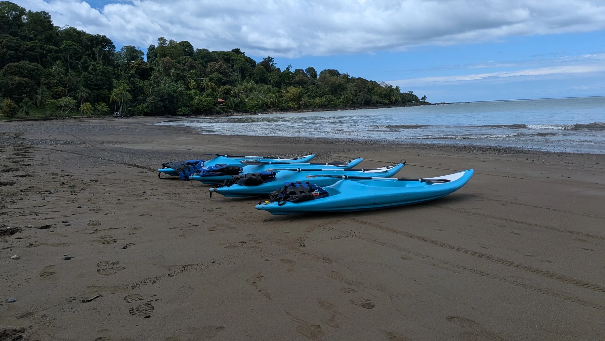 Kayak Tour from Drake Bay